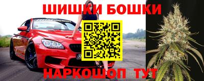 стаф Тара