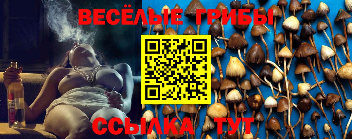 Псилоцибиновые грибы мицелий Муравленко