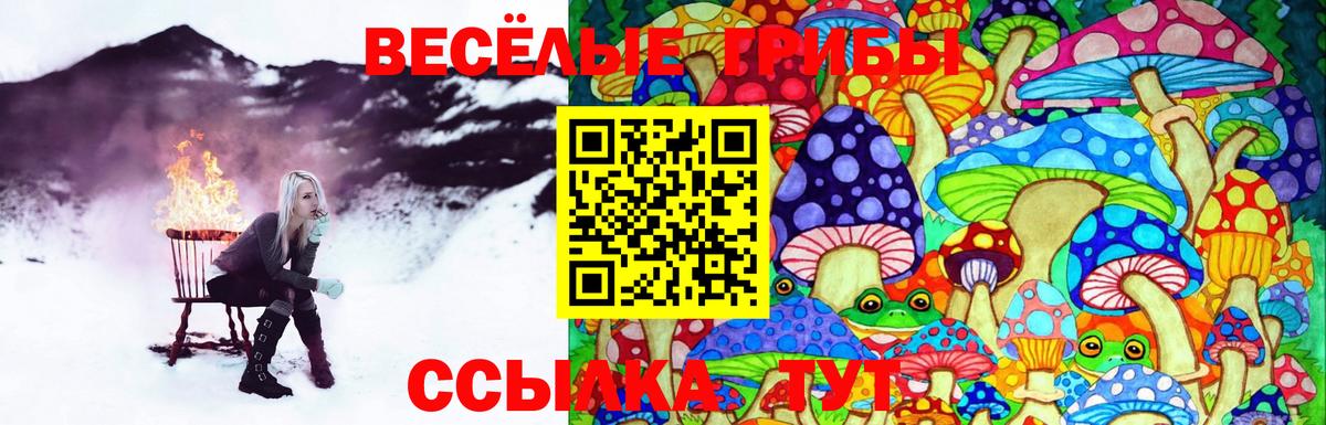 Галлюциногенные грибы мицелий  Галлюциногенные грибы GOLDEN TEACHER  Вход с VPN  Муравленко 